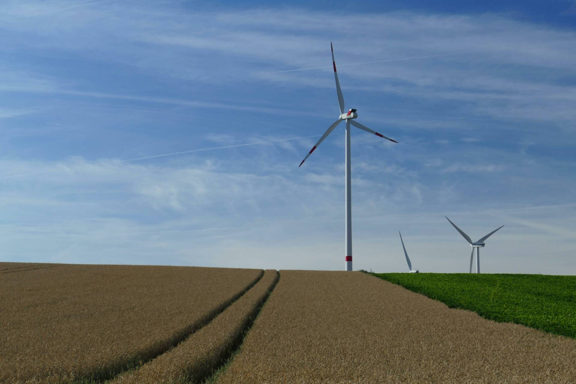 Wiatraki na polu
